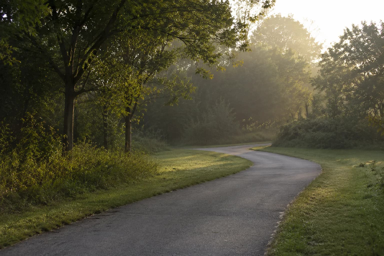 A quiet path curving forward through morning light.